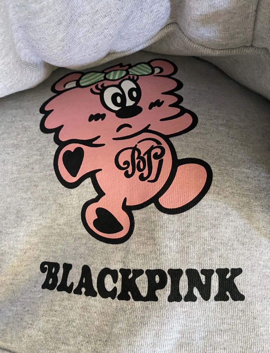 VERDY×BLACKPINK PLUSH HOODIE L パーカー BLACKPINK X VERDY BORN PINK PLUSH HOODIE GREY S,M,L,XL MULTI