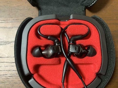 Sony MDR-EX1000 Review