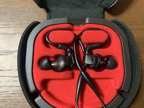 SONY MDR-EX1000 Canal type Earphones | eBay