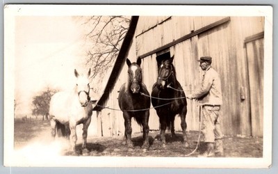 Vtg B&W Snapshot Man With Three Working Horses By Barn Rural Farm Scene 1924