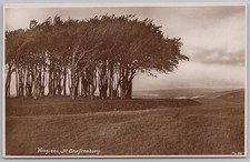 WINGREEN near Shaftesbury Dorset RP Postcard