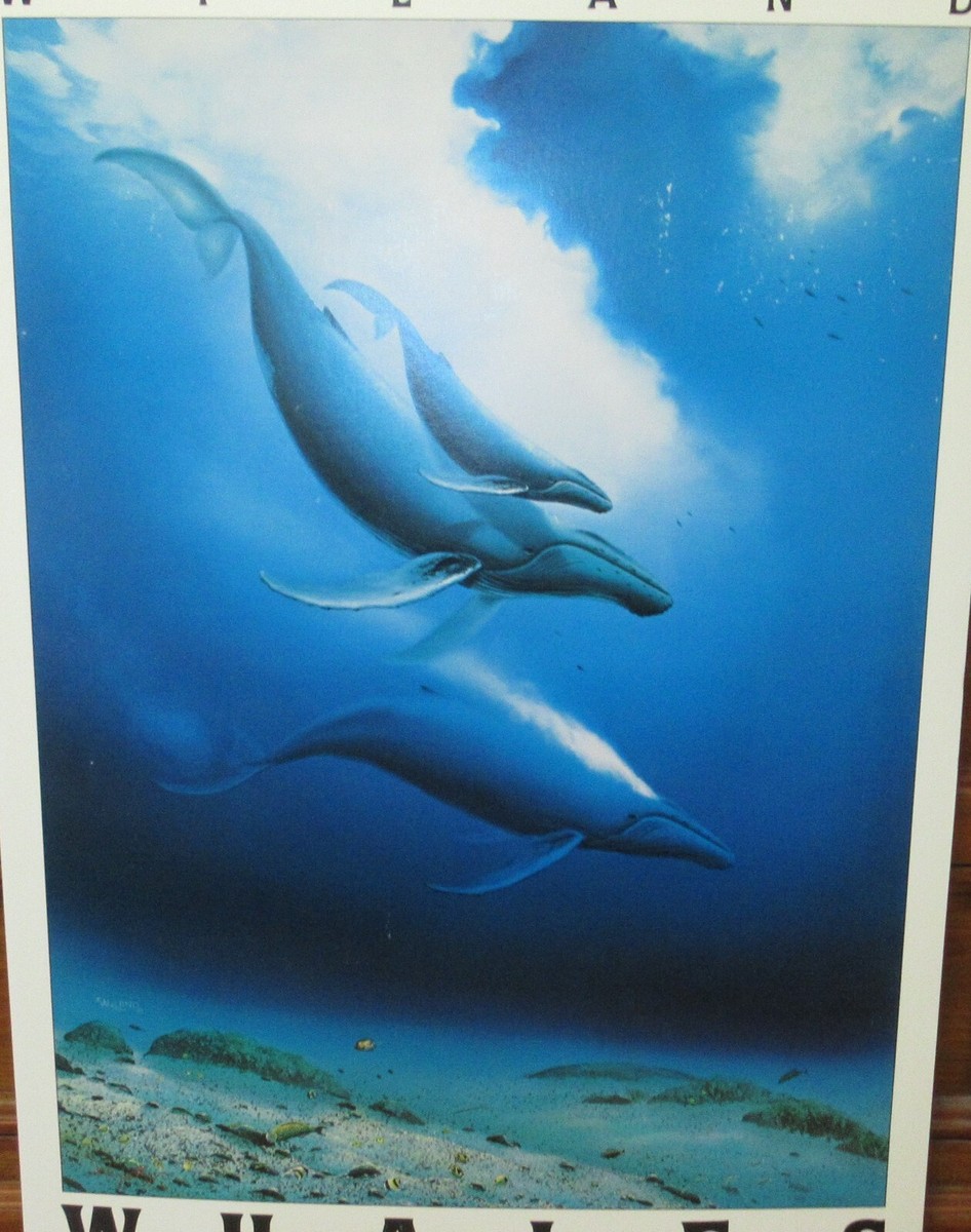 WYLAND 