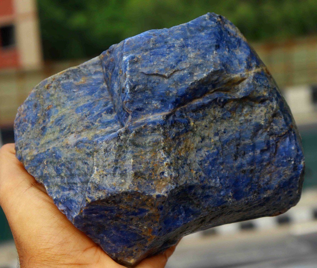Lapis LazuLiです！ Exclusive Lapis Lazuli Gem Lot For $7 Weight : 368.00 Cts