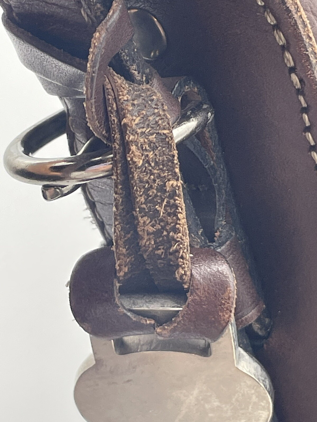 Picture 16 of 16