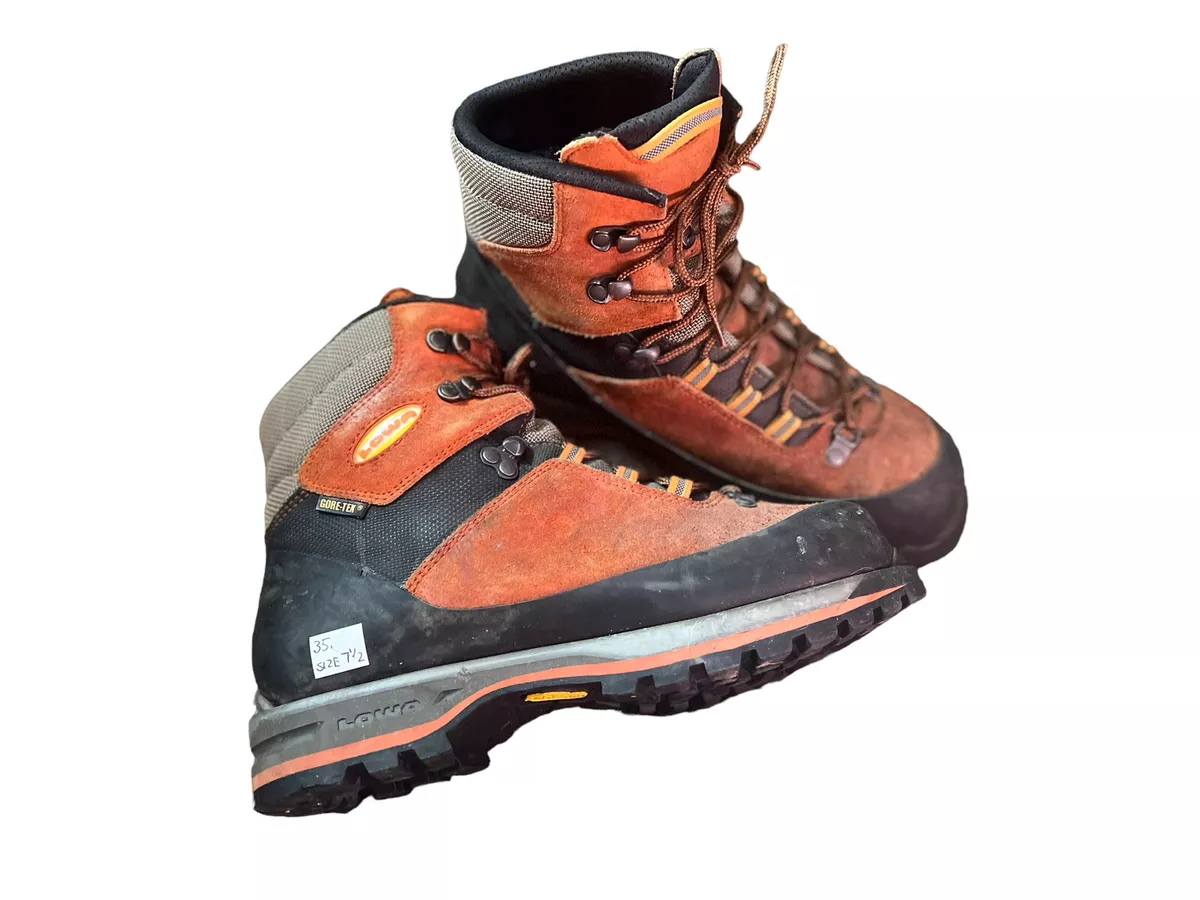 lowa men's mountain expert gtx evo boot