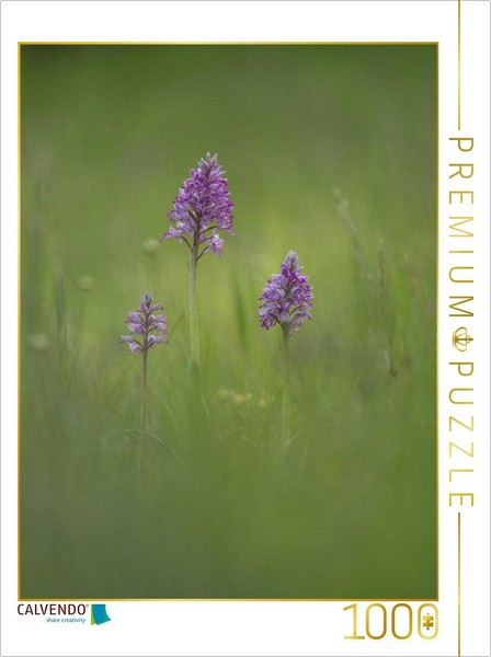 Calvendo Puzzle Helmet Orchid | 1000 Pieces, Finished Size 25.2 × 18.9 In (64 ×-image