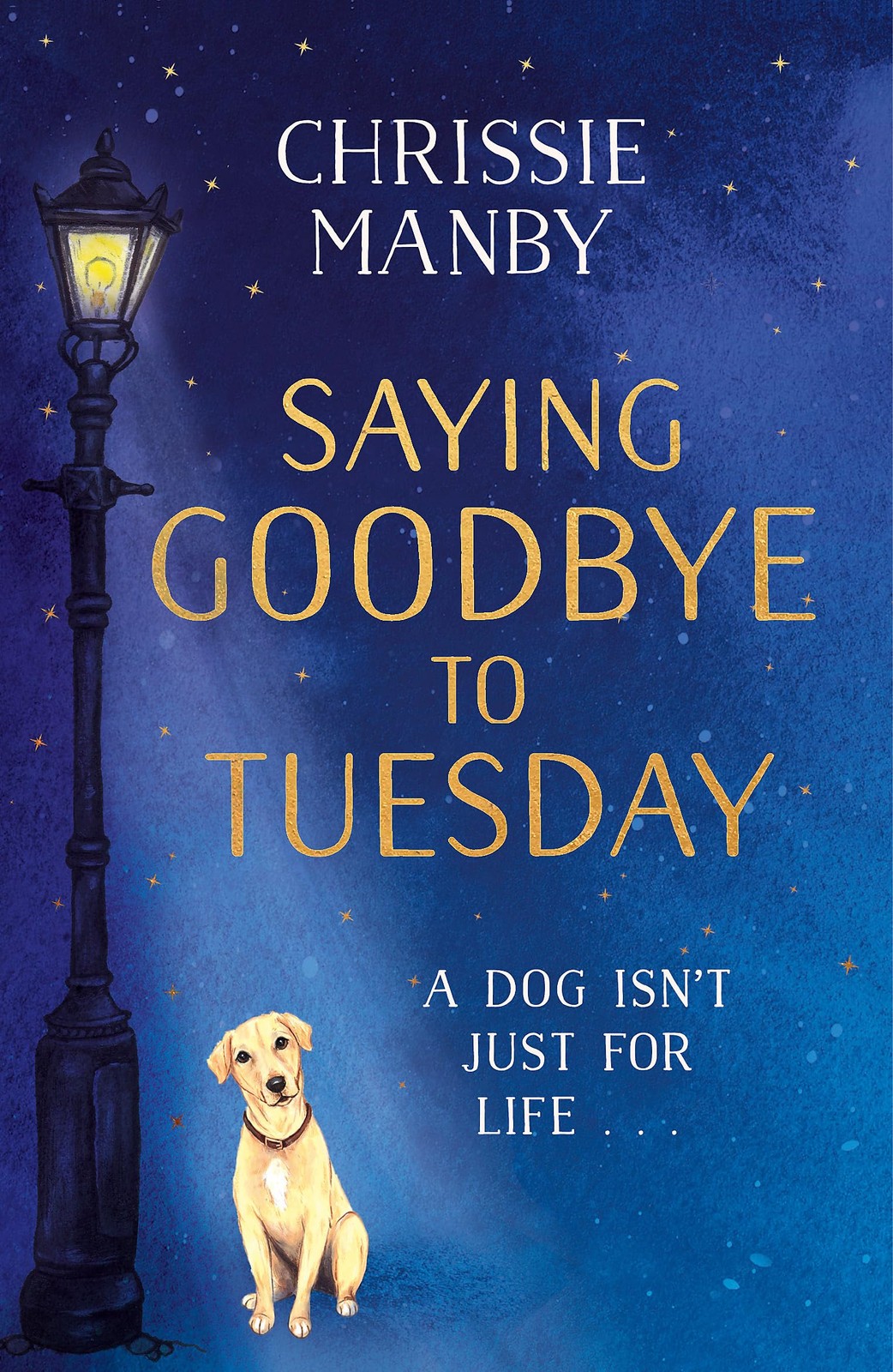 Saying Goodbye to Tuesday by Chrissie Manby - - Image 6