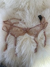 HONEY BIRDETTE ZOE Rose Gold Lace Suspender Garter Belt XS