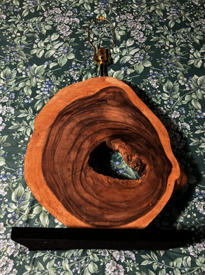 Natural Hollow Log Slab 3 ft Tall Table Lamp Great bohemian,western,Naturalist