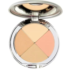 Christina Cosmetics Perfect Pigment 1 Mineral Compact: the One Minute Miracle Ma