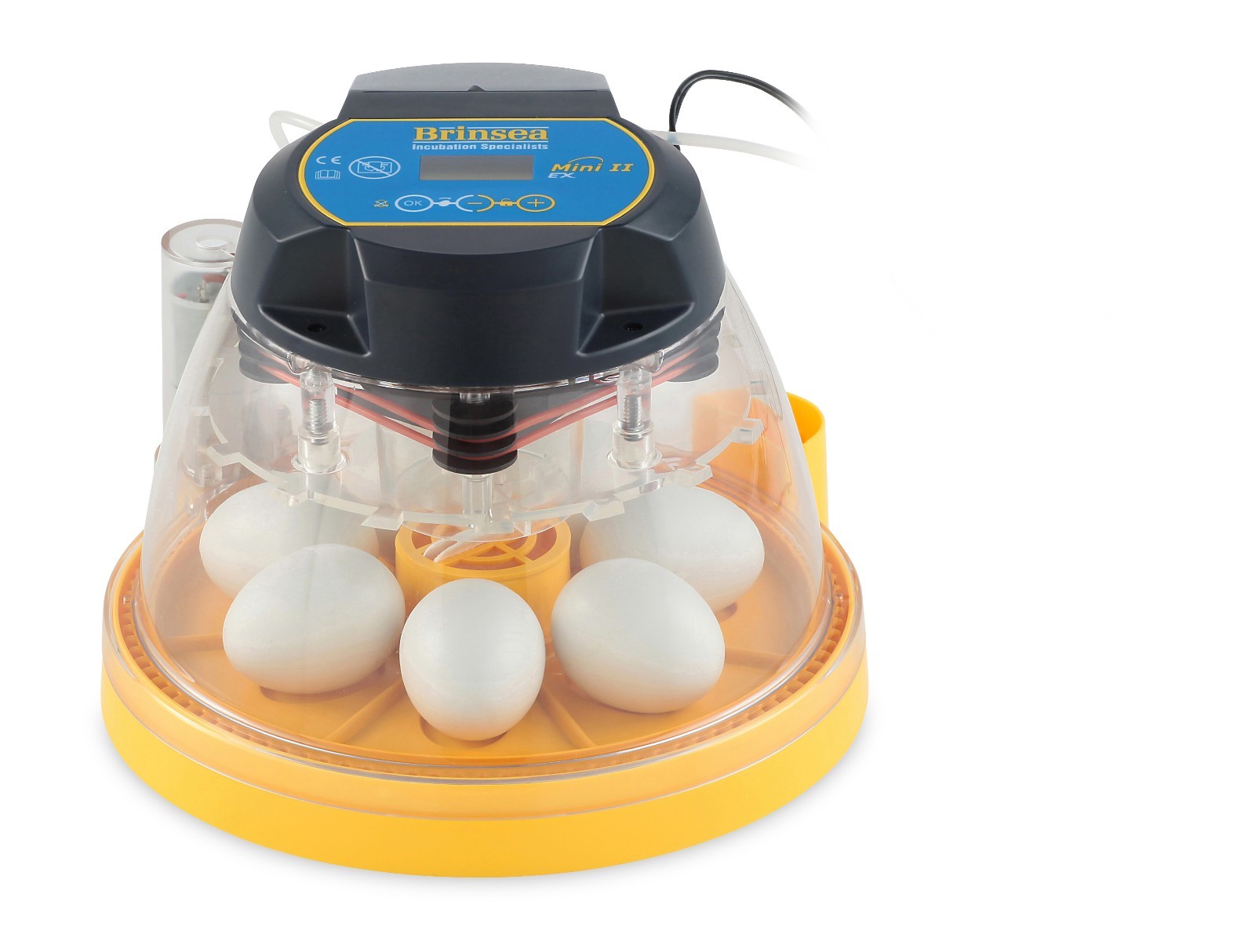 Brinsea Mini II EX Incubator (7 EGG) - 3 YEAR GUARANTEE (AB17) (Poultry)