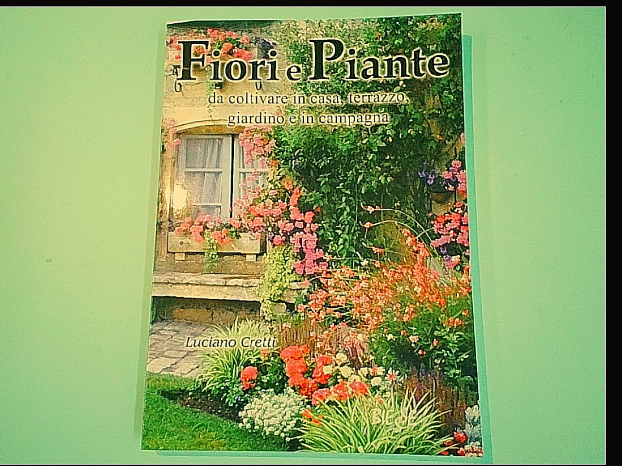 FIORI E PIANTE CRETTI BIESSE