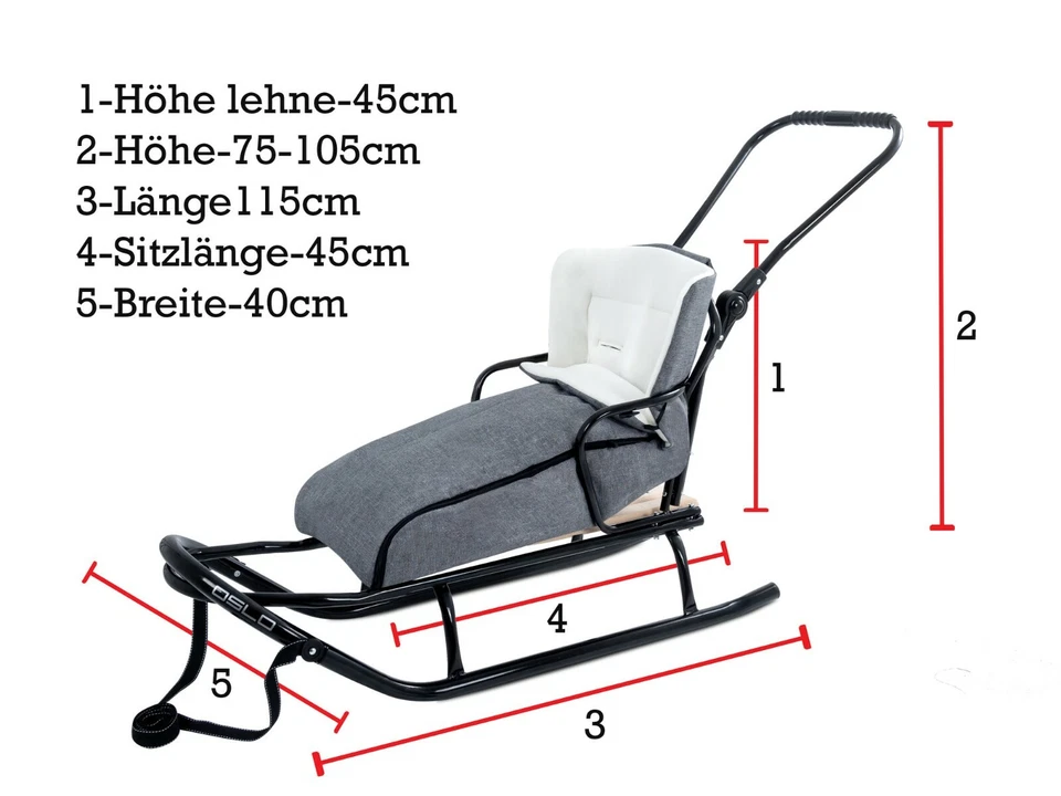 Holzschlitten mit Rückenlehne Schiebebügel und Fußstütze  Winterrodel für Kinder - Bild 2 von 4