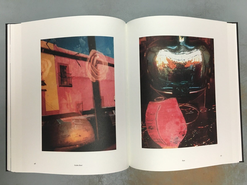 Overspilling World: The Photographs of Janet Sternburg 1st/1st Hardcover 2016 - Picture 13 of 24