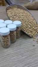 Whole Mahaleb seeds  10g  Prunus cherry Mahleb Mahlepi Mahlep Mahalepi     