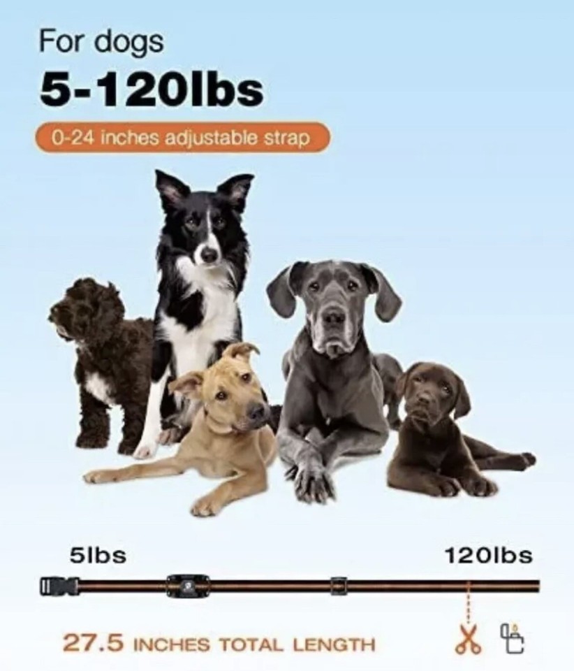 NEW DOG TRAINING COLLAR Shock for Small Medium Large Dogs with Remote