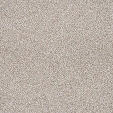 Grey Saxony Carpet 10mm Thick Cheap Grey Carpets ONLY £5.99m²  Bedroom Lounge