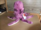 Bild 2 von 10