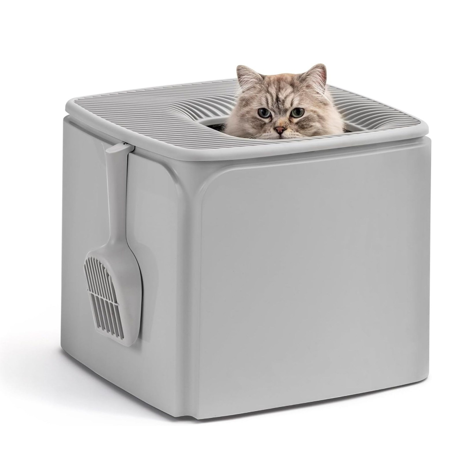With Scoop & Enclosed Design(open Box)