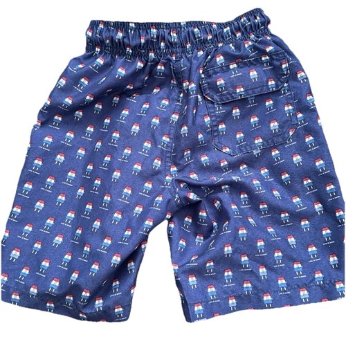 Life is Good boys popsicle patriotic swim trunks & matching rash guard size 4/5 - Picture 4 of 8