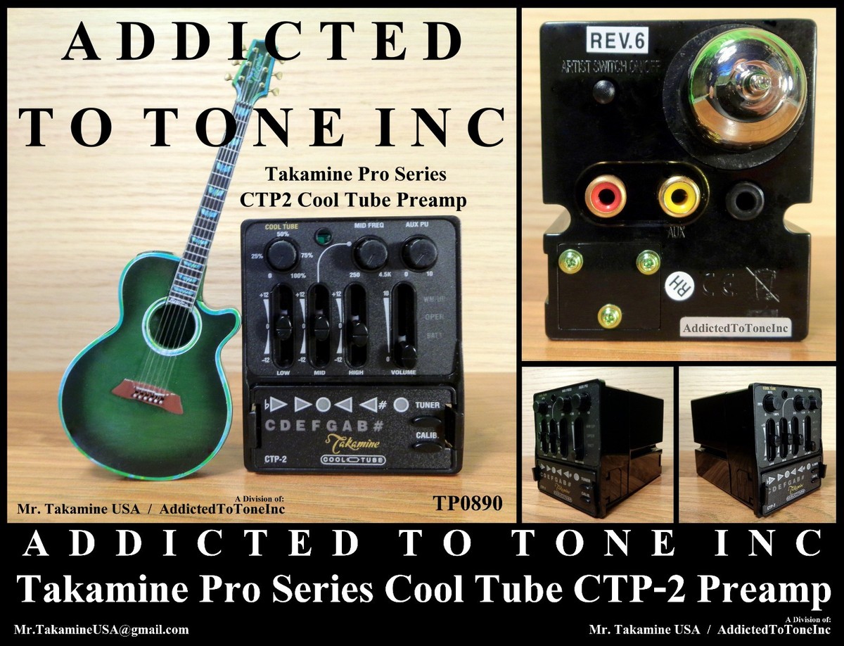 タカミネT-P2 STR タカミネT-P2 STR （Takamine T-P2 Str | eBay）