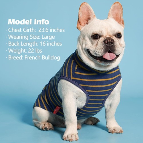 Soft Velvet Dog Pullovers - 2 Pack with Stylish Stripes for Fall & Winter - Picture 11 of 11