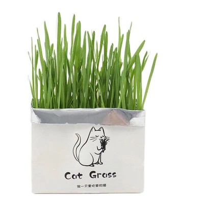 Soilless Organic Catgrass Cat Grass Snack Growing Kit Cat Grass Planting BP2
