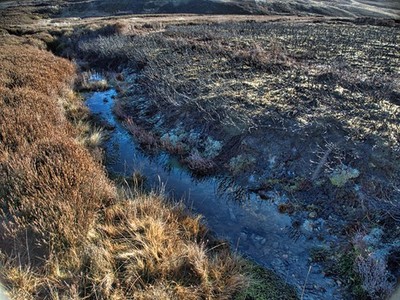 Foto 6x4 Black Rigg Beck Stape Heather brennt bis zum Beck whic c2018