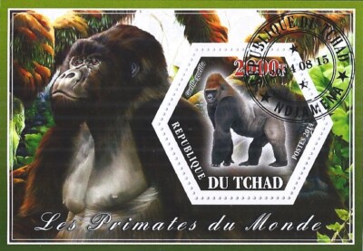 Block 2014 Used Ape Affe Gorilla
