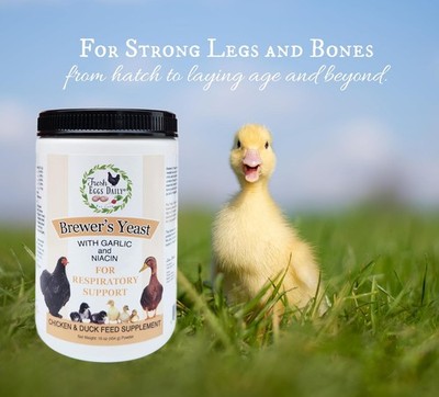 Fresh Eggs Daily Brewers Yeast 16 oz. Garlic Niacin Chicken Duck Bone Immunity
