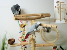 Freisitz für Papageien a. Java Holz / Buchenholz, Papageienspielzeug,Kletterbaum