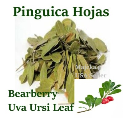 Pinguica hoja 1 LIBRA Hierbas Mexicanas Uva Ursi BearBerry 1 LB Mexican Herbs 