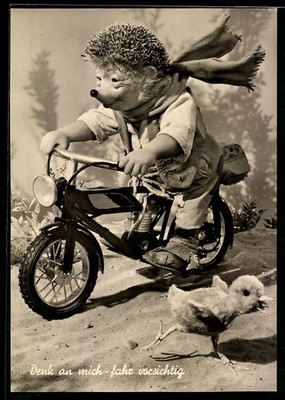 Postcard Mecki on motorcycle riding through the sand, fleeing chick 