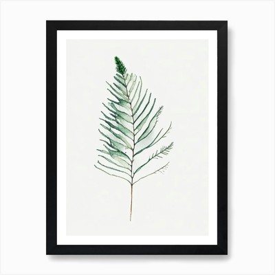 Douglasie Nadelblatt minimalistisch gerahmtes Wandbild Poster Leinwanddruck Bild