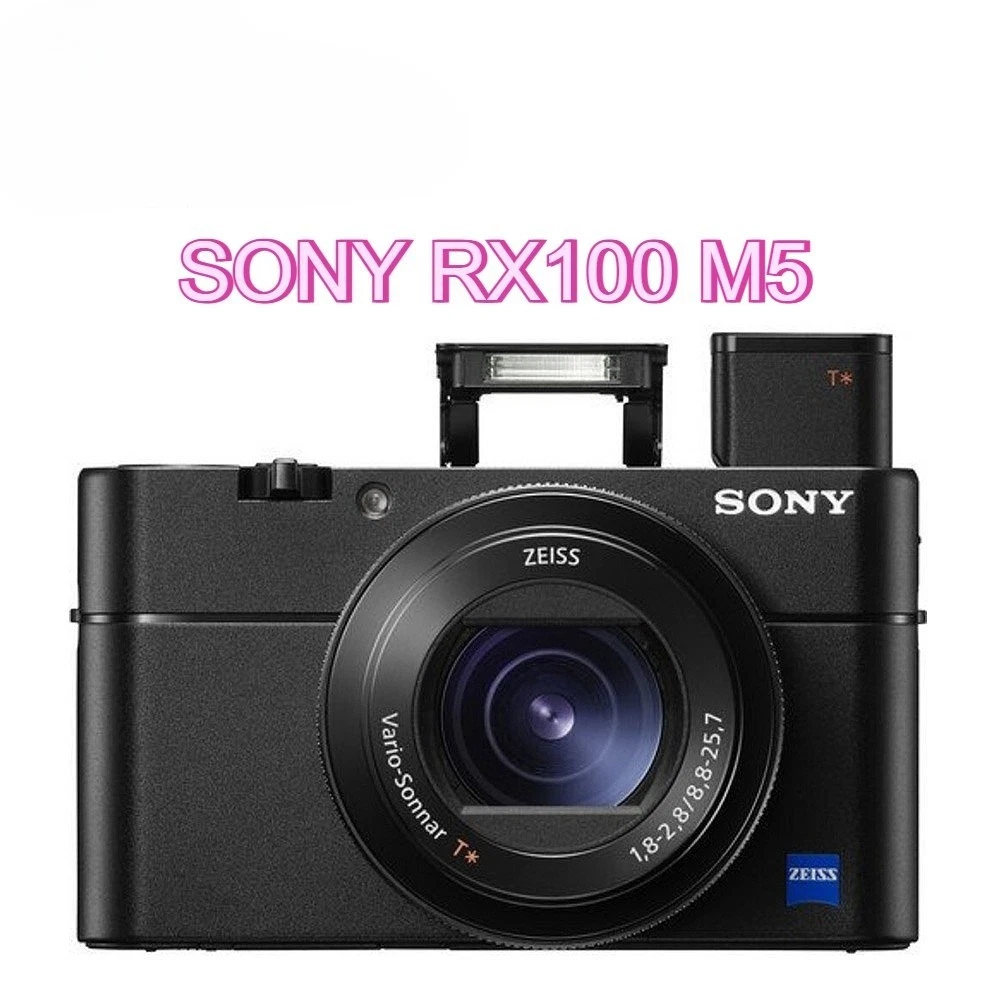 Sony Cyber-shot DSC-RX100 V Less than 3x Optical Zoom Digital