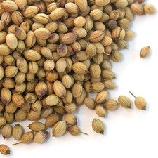 Coriander Seeds - 16 oz. Bulk Spice Jungle