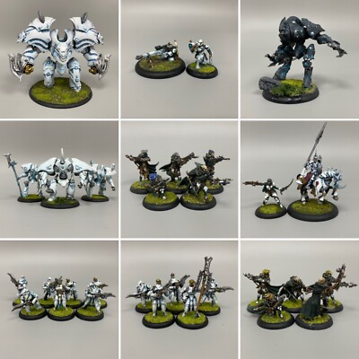 WARMACHINE HORDEN VERGELTUNG MINIATUR KONVOLUT PRIVATERPRESSE BEMALT WARJACK