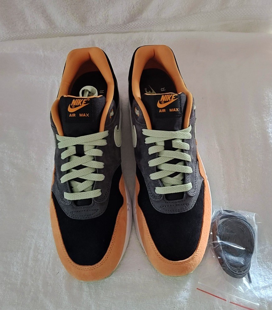 Nike Air Max 1 PRM Anthracite Honeydew Ugly Duckling DZ0482-001