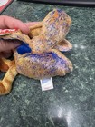 TY BEANIE BABY  Dinky￼ — photo 2