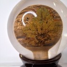 Foto 17 di 24