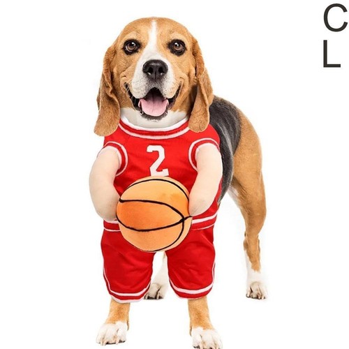 Disfraz de baloncesto para perro con pelota perro baloncesto Halloween perro baloncesto Pla E6P6 - Imagen 17 de 18