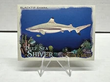 2021 Topps Allen & Ginter #DSS-8 Blacktip Shark Deep Sea Shiver Baseball