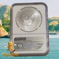 American Eagle MS 69 Graded 2014 Silver Bullion Coins for sale | eBay