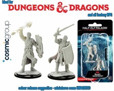 WizKids D D Nolzur's Marvelous Miniatures: Half-Elf Male Paladin