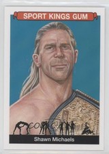 2018 Sage Sportkings Promos Shawn Michaels #SMP1 2h4