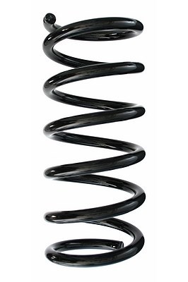 Spidan Fahrwerksfeder Hinterachse U.A. FüR Chevrolet, Opel-image