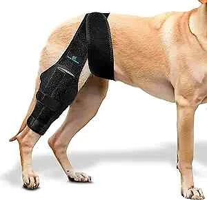 Dog Leg Braces for Back Leg - Dog Knee Brace For Support With Cruciate