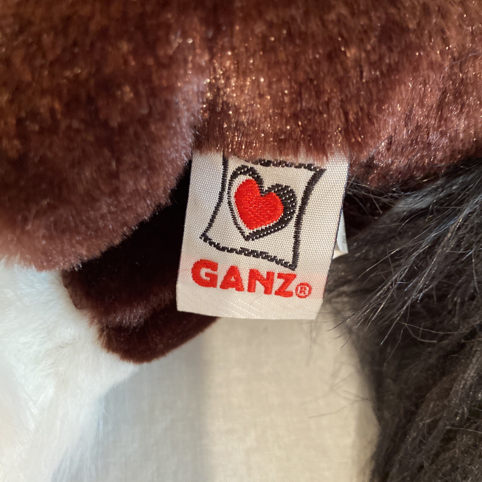 Bild 8 von 11