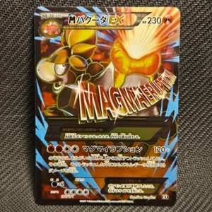 M Camerupt EX 172/171 | The Best of XY | MEGA | SR like