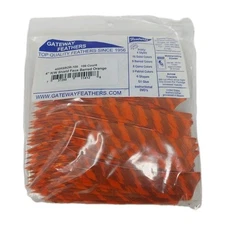 100 Pack Gateway Feathers 4" Right Wing: Shield Faux Barred Orange 400RSBOR-100